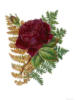 Схема вышивки «Пурпурная роза»