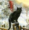 Черный кот: оригинал