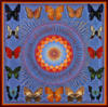 Схема вышивки «Подушка "бабочки"»