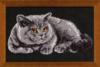 Схема вышивки «Портрет кота»