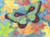 Схема вышивки «Листья и бабочка»