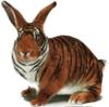 Схема вышивки «Тигро-кролик»
