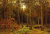 Сосновый лес (И.Шишкин): оригинал