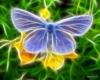 Волшебная бабочка: оригинал