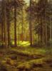 Хвойный лес (И.Шишкин): оригинал