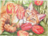Схема вышивки «Рыжай кошка в тюльпанах»