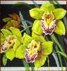 Схема вышивки «Орхидеи лимонного цвета»