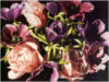 Схема вышивки «Букет фиалок и роз»
