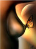 Схема вышивки «Бабочка на груди»