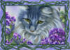 Схема вышивки «Серия "коты и цветы"»