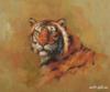 Уссурийский тигр: оригинал