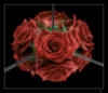 Схема вышивки «Роза-царица цветов»
