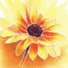 Схема вышивки «Солнечный  цветок»