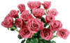 Схема вышивки «Самый красивый букет роз»