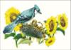 Blue Jay with Sunflowers: оригинал