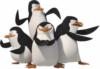 Схема вышивки «Пингвины_007»