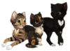 Схема вышивки «Серия - кошки»