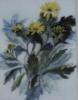 Схема вышивки «Chrysanthemum, Mary Stoker »