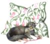 Схема вышивки «Кошка на подушке»
