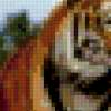 Бенгальский тигр: предпросмотр