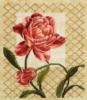 Схема вышивки «Цветок тюльпана»