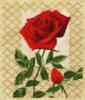 Схема вышивки «Цветок розы»