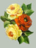 Схема вышивки «Три розы»