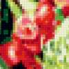 Зеленые хризантемы: предпросмотр