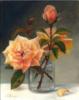 Абрикосовые розы: оригинал