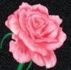 Схема вышивки «Подушка "Роза"»