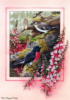 Схема вышивки «Птицы от Shirley Barber»