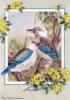 Птицы от Shirley Barber: оригинал