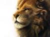 Схема вышивки «Лев - царь зверей»