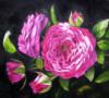 Схема вышивки «Подушка роза Heidi Klum»