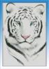 Схема вышивки «Белый тигр3»