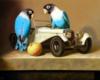 Попугаи и авто: оригинал