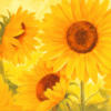 Схема вышивки «Солнечные цветы»