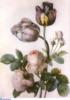 Схема вышивки «Розы и тюльпаны»