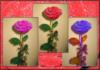 Схема вышивки «Триптих розы»