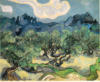 Пейзаж с оливами Ван Гога: оригинал
