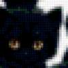 Черные котята: предпросмотр
