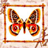 Схема вышивки «Бабочка в бамбуковой рамке 3»