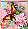 Бабочка над цветами: оригинал