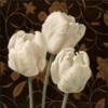 Три белых тюльпана: оригинал