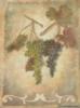 Схема вышивки «Виноград на фоне пергамента»