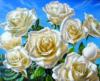 Схема вышивки «Белые розы на  голубом»