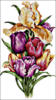 Схема вышивки «Букет: тюльпаны и ирис»