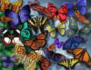 Схема вышивки «Изобилие бабочек»