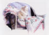 Схема вышивки ««Cat on a Quilt»Nancy Noel»