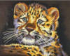 Схема вышивки «Детеныш леопарда»